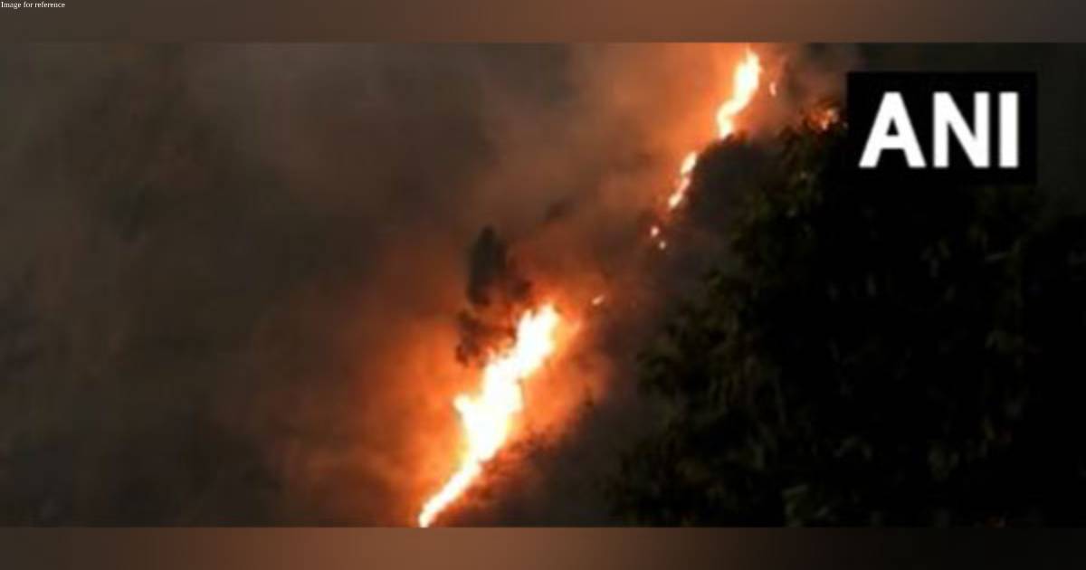 Forest fire in Tamil Nadu's Kodaikanal range extinguished